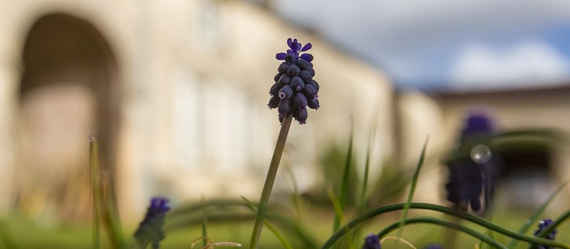 Après la pluie
